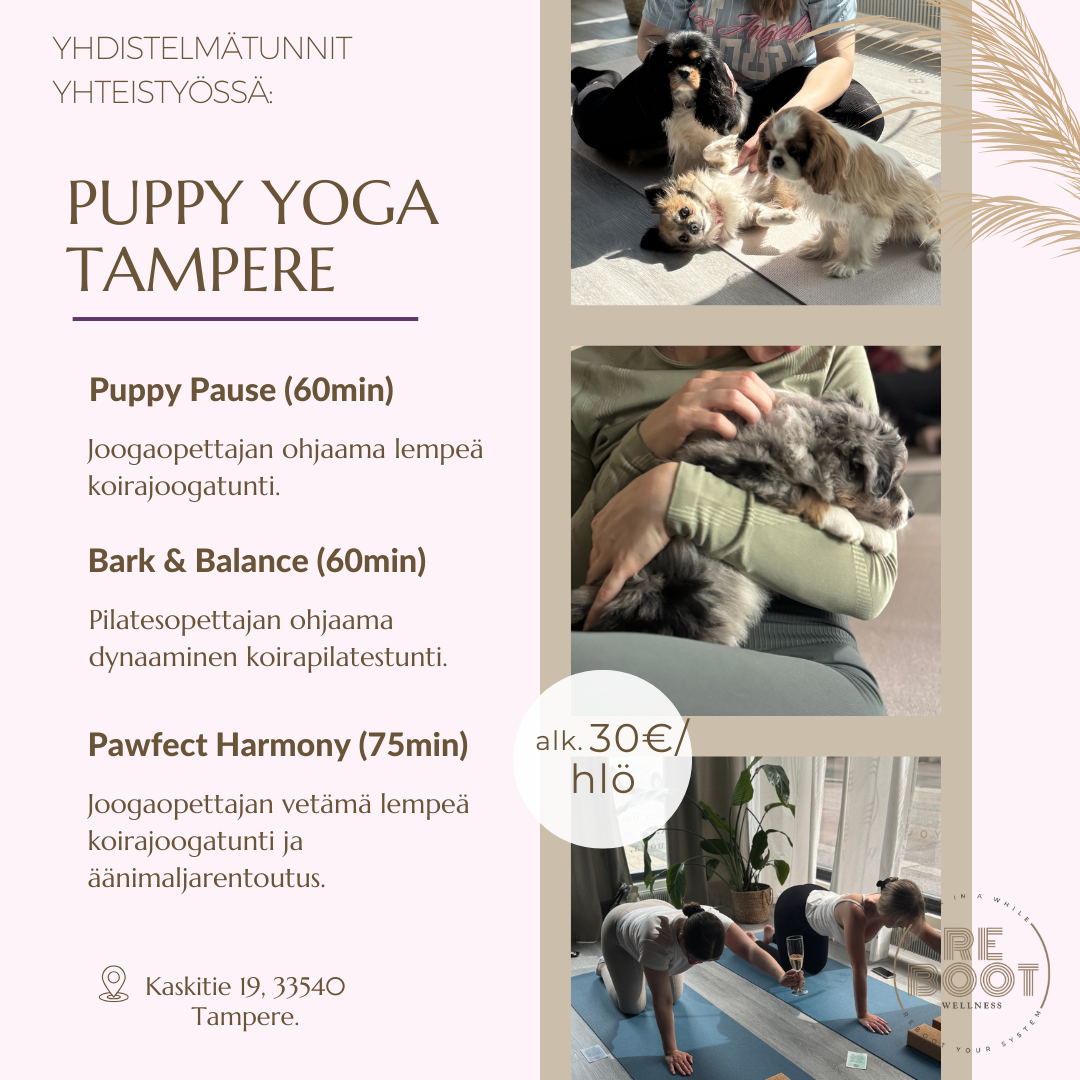 Puppy Yoga - Koira Joogaa